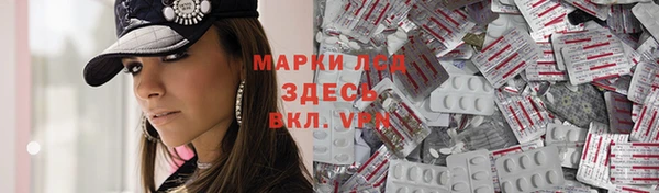 МДПВ Пересвет