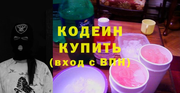 МДПВ Пересвет