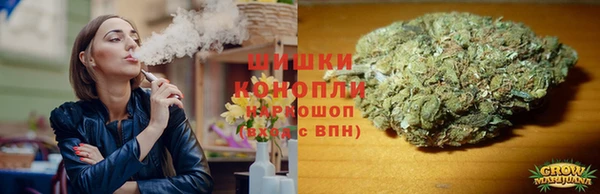 МДПВ Пересвет