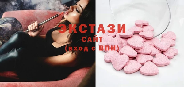 МДПВ Пересвет