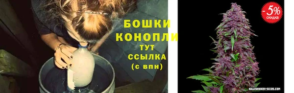 МДПВ Пестово