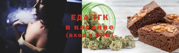 МДПВ Пересвет