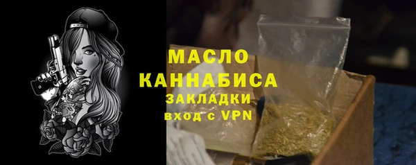 МДПВ Пересвет