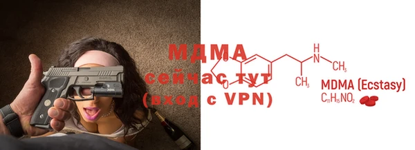 МДПВ Пересвет