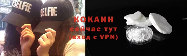 МДПВ Пересвет