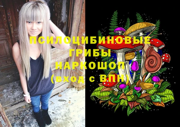 МДПВ Пестово