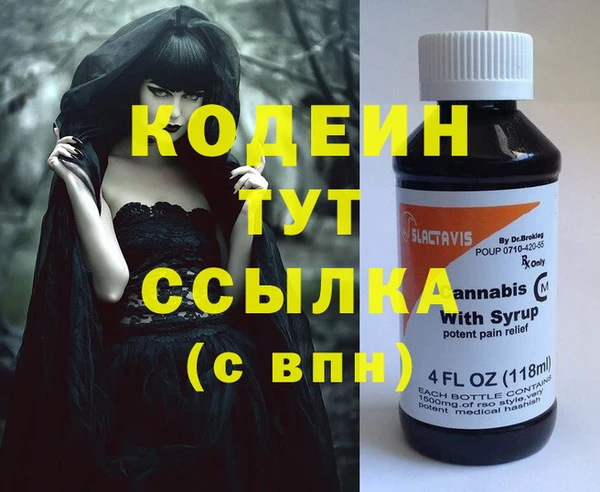 МДПВ Пересвет