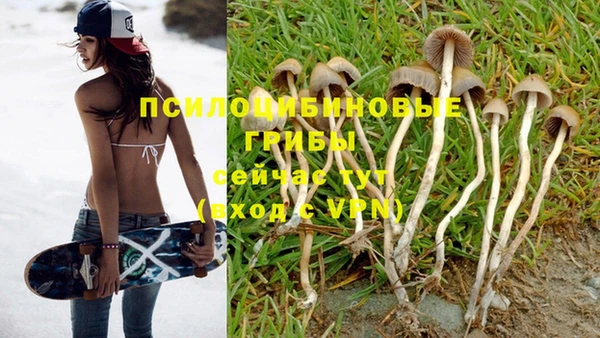 МДПВ Пестово