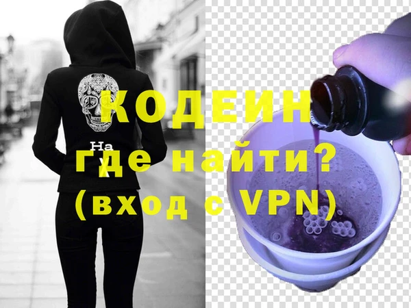МДПВ Пересвет