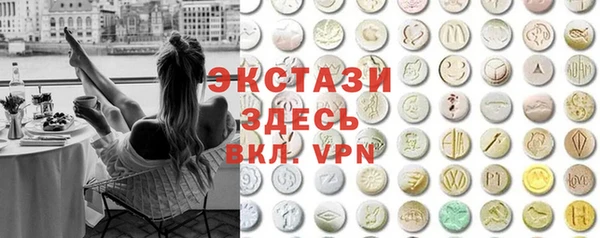 МДПВ Пересвет