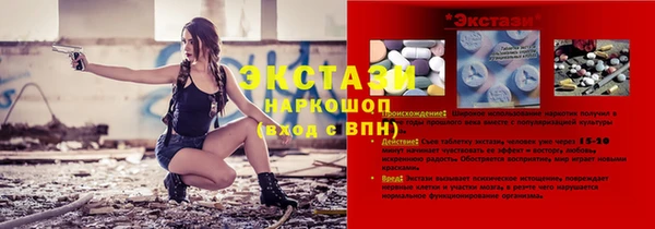 МДПВ Пересвет